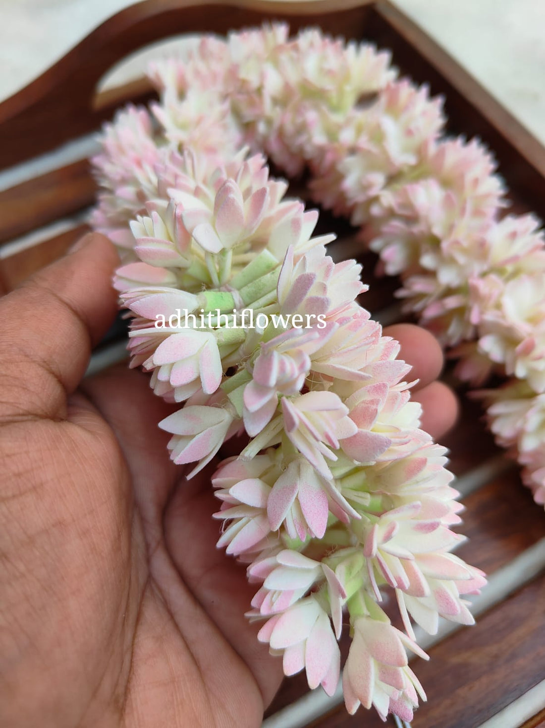 WhatsApp Image 2025-12-22 at 5.34.55 PM