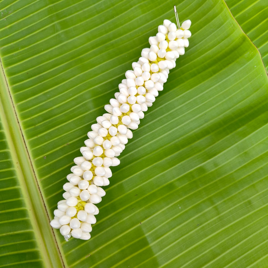 Untitled design (78)