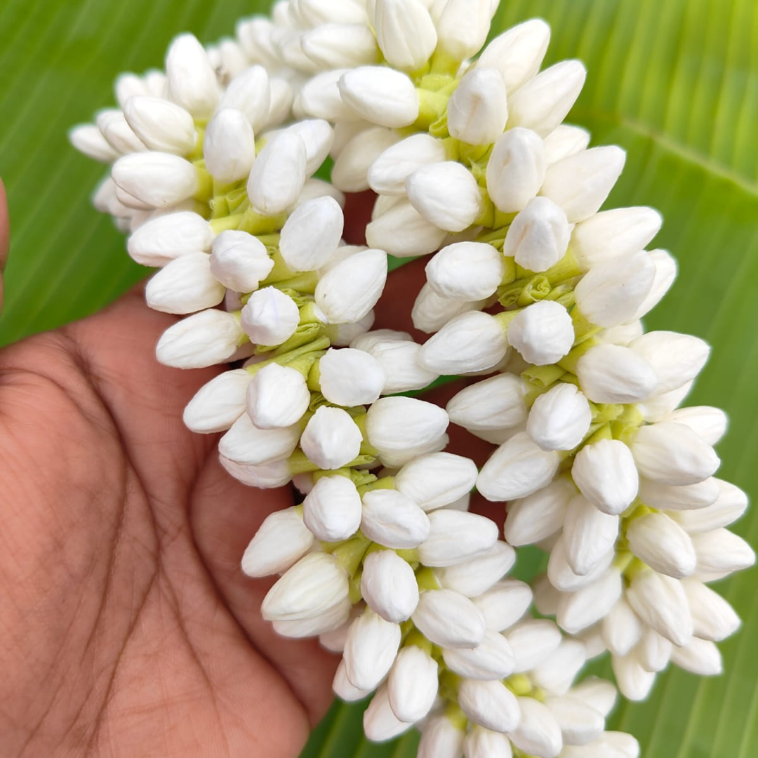 Bring a traditional charm to your look with this Medium Size Buds Artificial Flower strand, measuring 16 inches (1 molam). Perfect for hairstyles, festive wear, pooja decor, and gifting. 🌺✨ ✅ Rea
