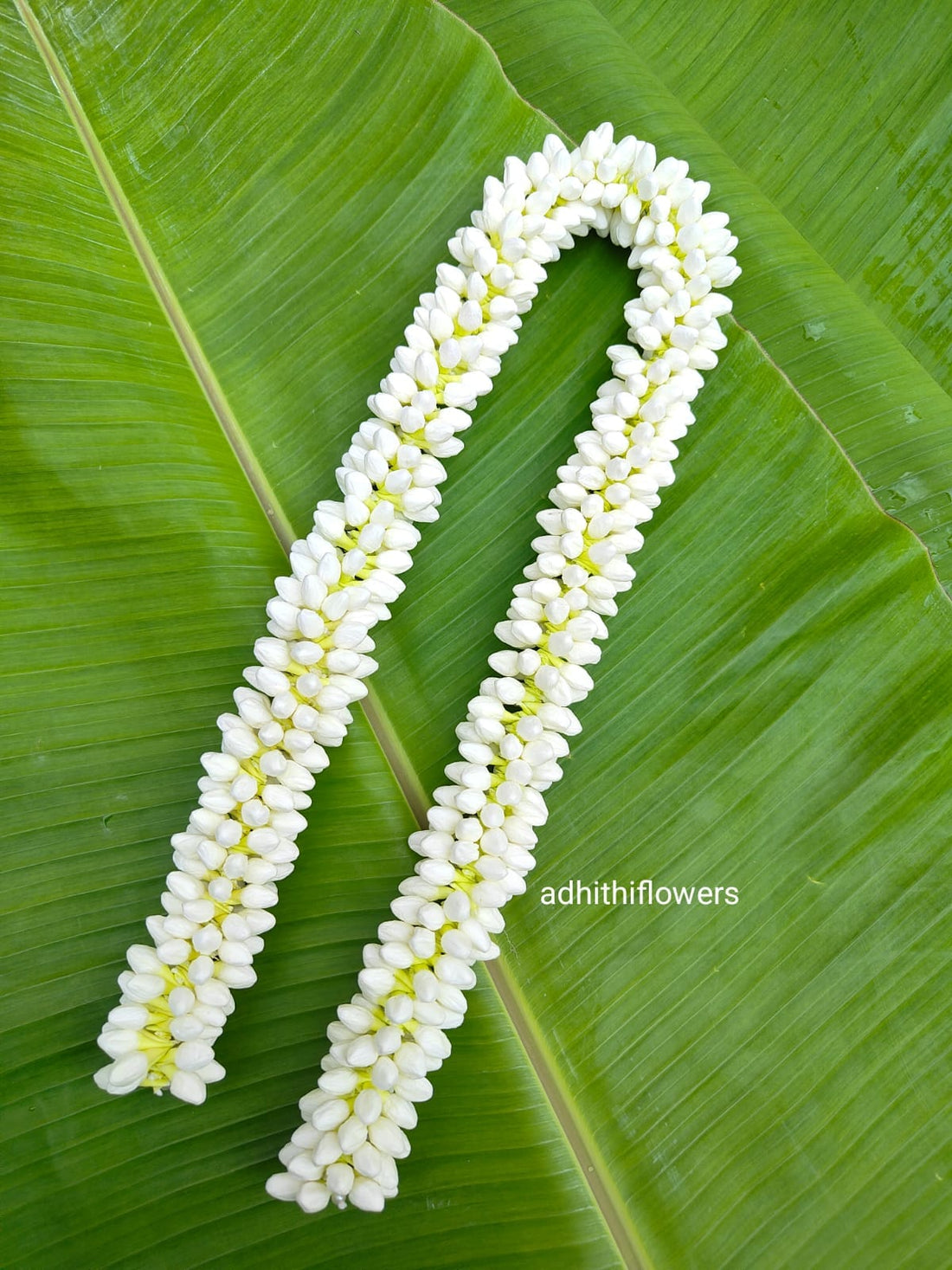 WhatsApp Image 2025-08-17 at 4.04.32 PM