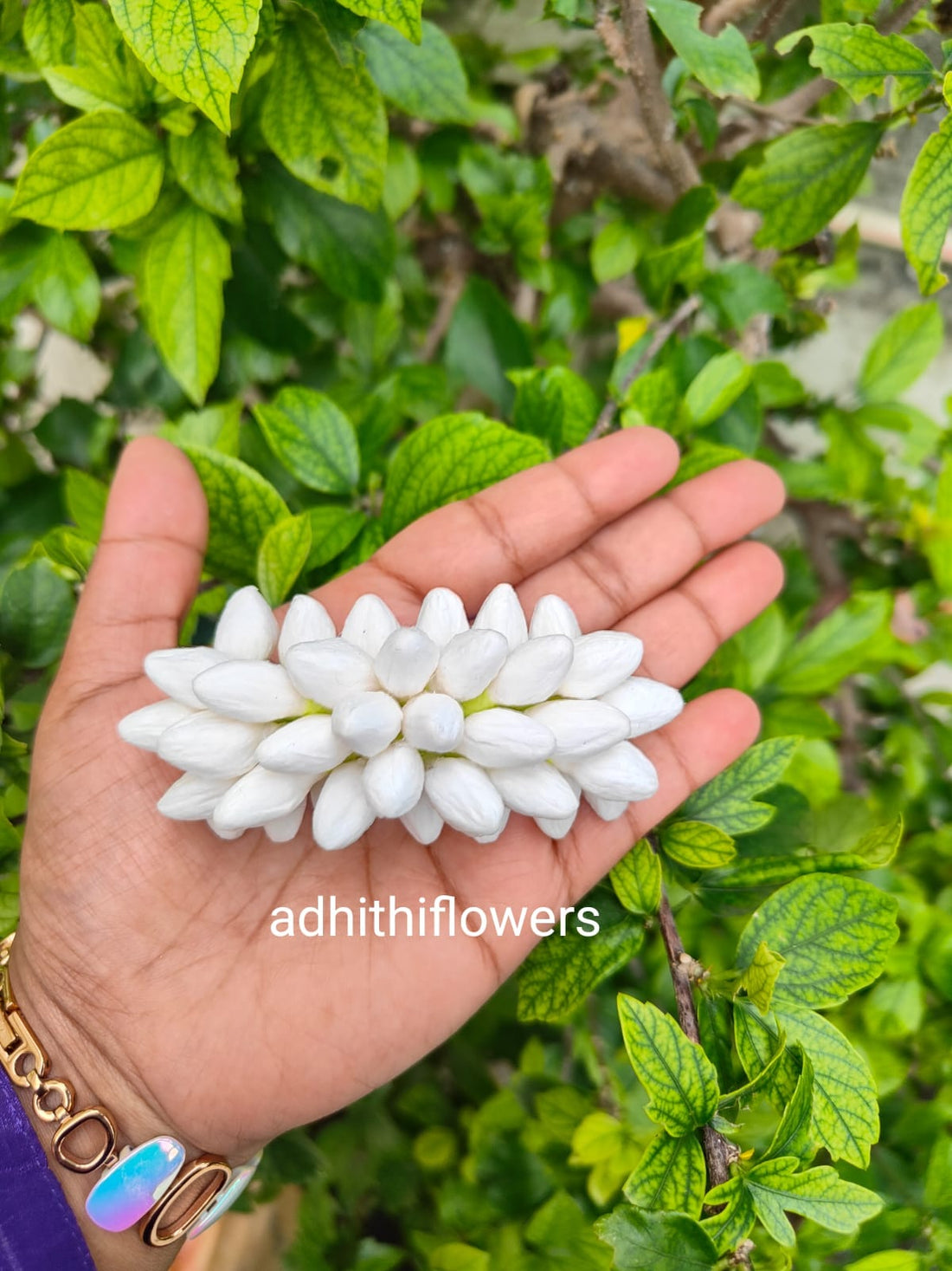 WhatsApp Image 2025-10-08 at 16.00.46_9f9d88fc